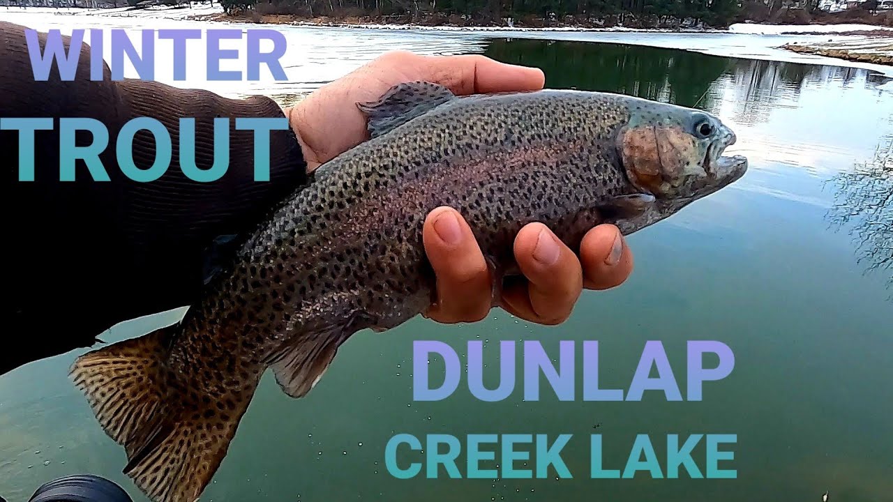 Winter Trout Fishing at Dunlap Creek Lake YouTube