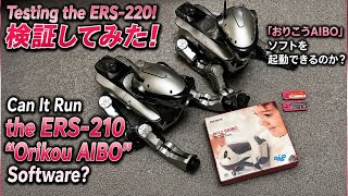 検証！ERS-220 & 220Aで「おりこうAIBO」は使えるのか？　ERS-220 & 220A “Orikou AIBO” Compatibility Test!