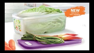 Jumbo VentSmart