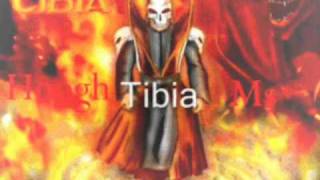 Hoogh Tibia