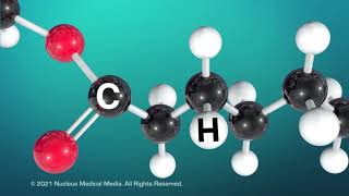 Lipids