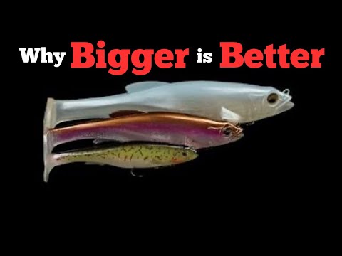 Prespawn Swimbait fishing for largemouth bass with the Megabass MagDraft 8″