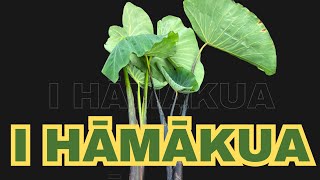 I Hāmākua