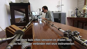 HFML Nijmegen: onderzoek in hoge magneetvelden