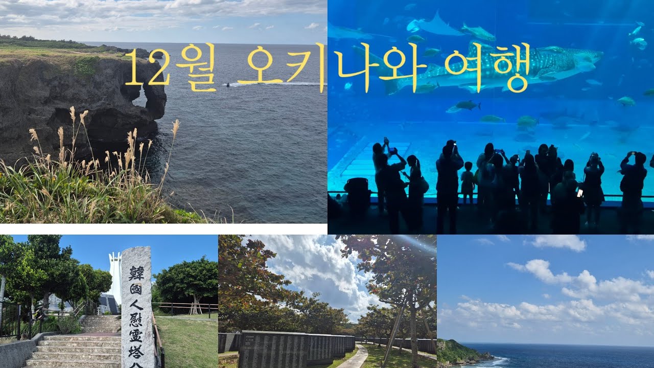 #49. [월간 여행] 내향인 가족의 오키나와 3박4일 여행기