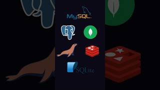 Every Database Is C And C coding cpp mysql