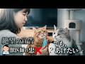 「獣医師の忠告」悩める飼い主ちゅーるに期待を寄せる猫たち「でもあげたい」