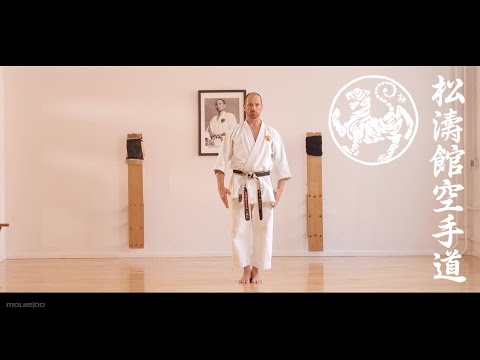 Shotokan Karate - The Meaning of a Kata