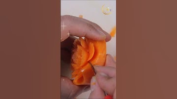 CÁCH TỈA HOA HỒNG BẰNG CÀ RỐT