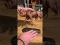 Fallout NCR bear desk ornament custom by ENulmer