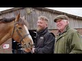 Ireland’s pride in every stride! 🇮🇪 The  Irish Draughts | RIDE presented by Longines