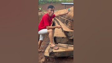 Nguồn gốc tên gọi gỗ Cẩm Hồng #chiengodo #sonsapgo #gocamhong