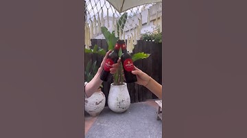 Worlds50Best Arrival In Valencia