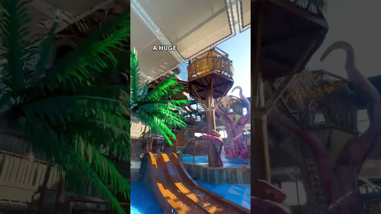 Things that just make sense on MSC Seascape 🤌  (IG: @ship.facts)