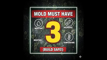 3 Things Mold MUST Have to Grow (Build Safe!)