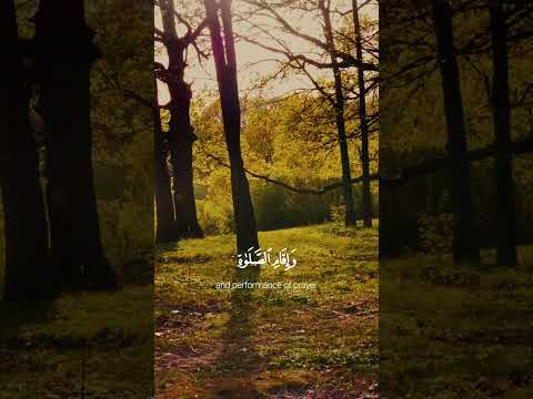 في بيوت اذن الله ان ترفع عمر بن ضياء الدين شارك الاية مع اصدقائك 