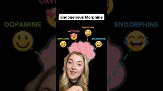 Part 1! Endorphins! #education #science #fun #endorphins #neuroscience #happy #pain #chemicals #love