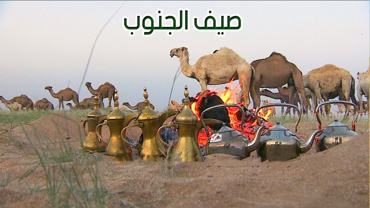 صيف الجنوب | المهمل 12 / 8 / 1437هـ