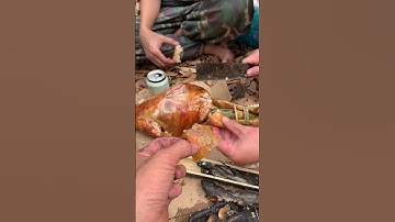 Cuộc sống sinh tồn trong rừng