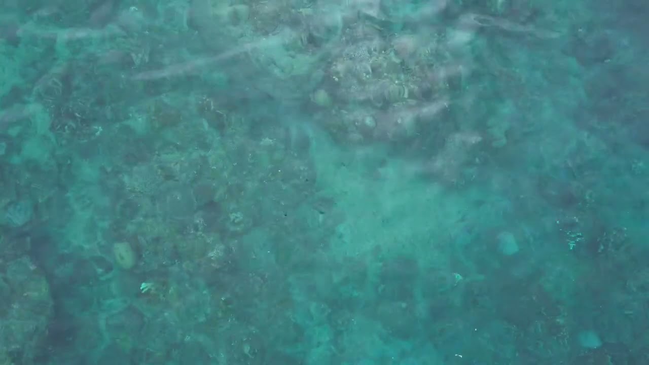 Relaxing ocean video with peaceful music 