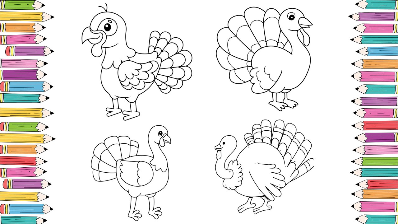 Turkey Coloring Pages | Kids Coloring Video
