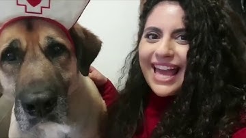 BMC Israel - Quarantine Video