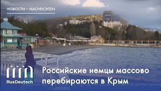 Российские немцы массово перебираются в Крым