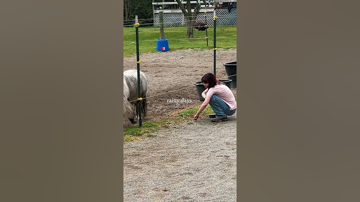 Rainy Days Vlog! #rainyday #romanticizelife #animals