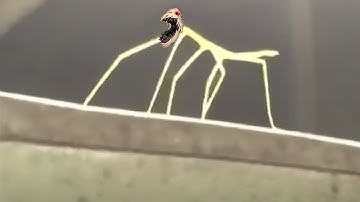 get fiddlesticced lol