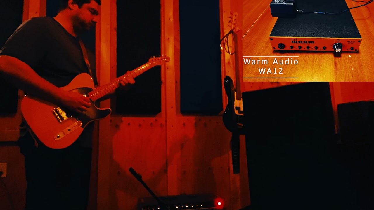 Black Lion Audio B12A mk2 vs Warm Audio WA12