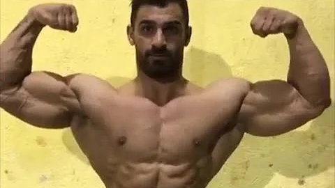 Iranian aesthetic bodybuilder Mohammad Zolfaghari