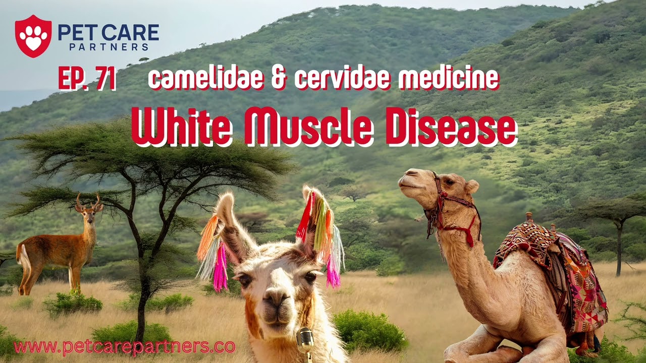 EP 71 | White Muscle Disease in Camelidae & Cervidae