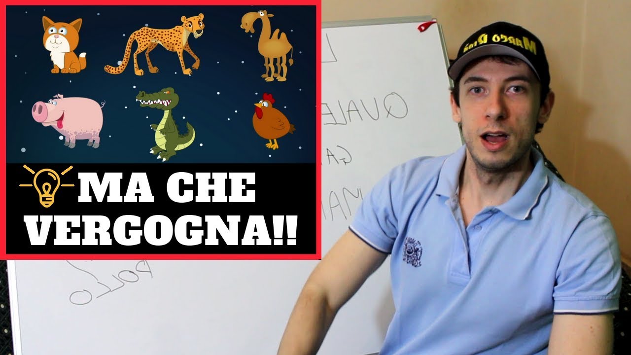 IL FALSO POSITIVO: Indovinelli Impossibili per gli italiani [Logic Fails #2]