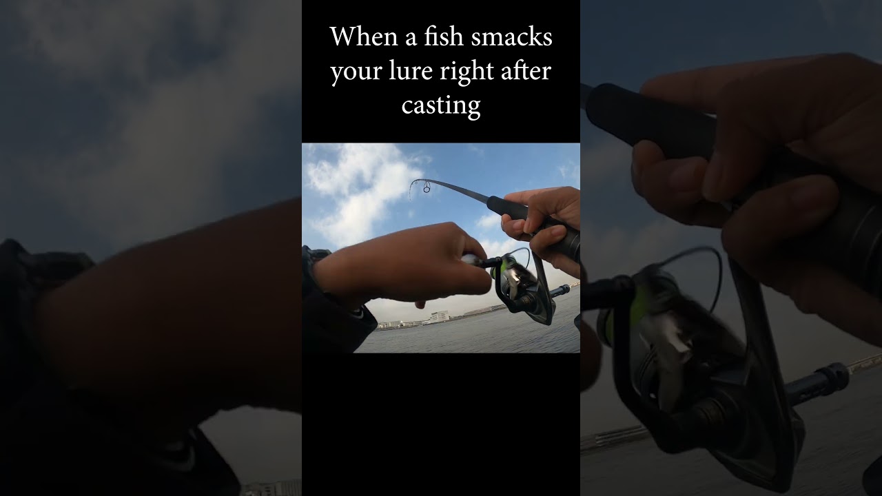 When I fish smacks your lure right after casting  