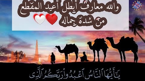 والله معارف أبطل أعيد المقطع من شدة جماله ❤️🤍تلاوة خياليه