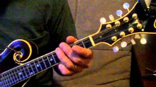 Mandolin Licks and Tricks #5 (a  kick off) chords