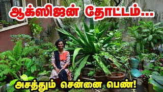 வீட்டில் Oxygen garden | அசத்தும் சென்னை பெண் | best plants to increase oxygen | pasumai vikatan