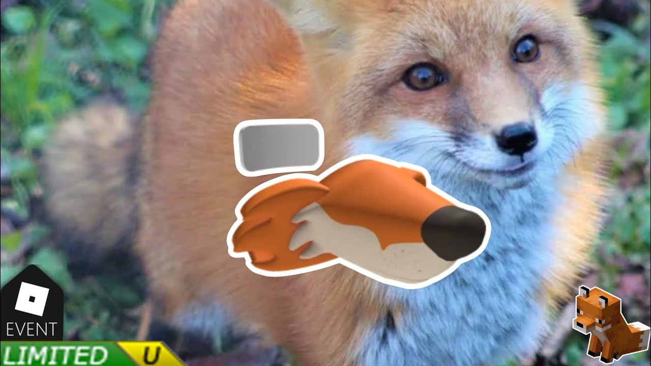 FREE LIMITED UGC | How to get Fox nose: Wild London in BBC Wonder Chase 🦊 Wild London on Roblox 
