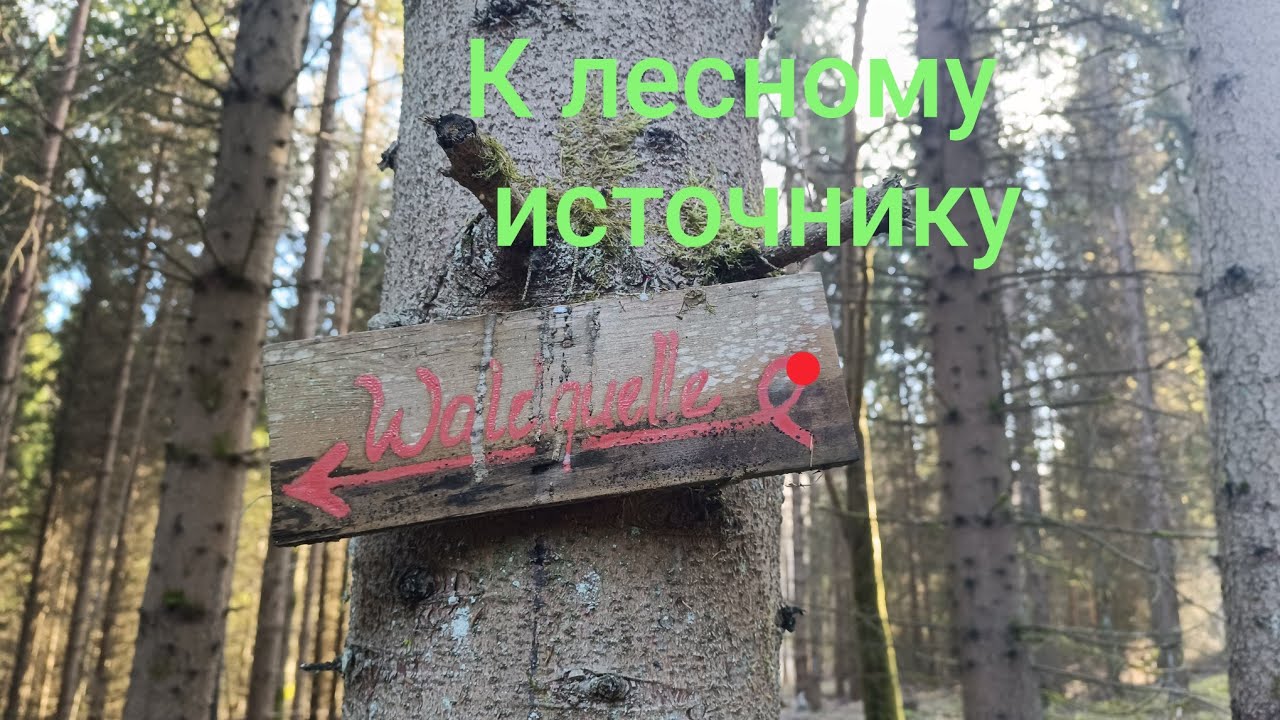 Чуть не заблудилась. По указателям.#olinacz