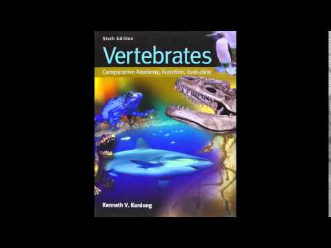 vertebrates comparative anatomy function evolution pdf download