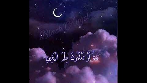 #سورة_التكاثر بصوت القارئ سعد الغامدي