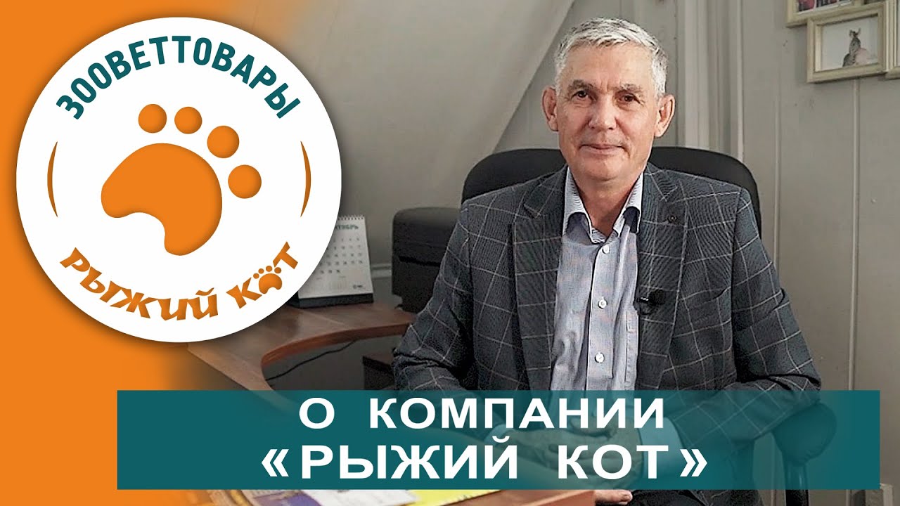 Рыжий кот оренбург