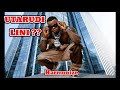HARMONIZE UTARUDI LINI 900k Views 3hrs Ago
