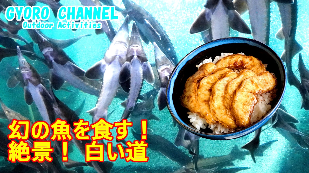【北海道車中泊旅 ep.3】日本最北端へ！ホタテの白い道と幻の魚チョウザメ丼を食べる自作バスの旅