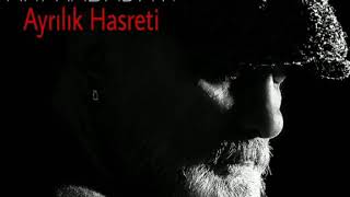 Arif Kabadayı - Ayrılık Hasreti Resimi