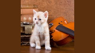 Chorus Amidst Cat's Pouncing Rhythms