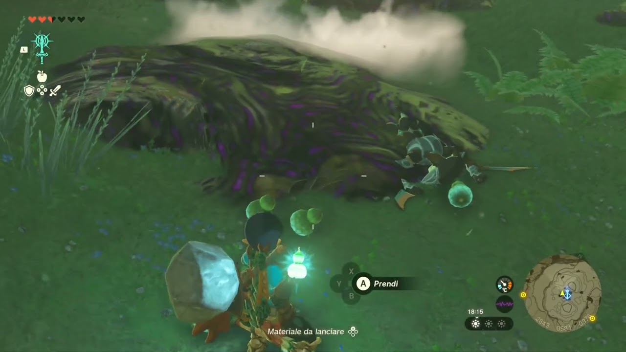 How clean Zora in Mud in Zelda: Tears of the Kingdom
