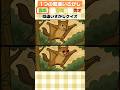 ムササビジャンプーのまちがい探しクイズ #クイズ #ミニゲー #暇つぶし #間違い探し #脳トレ