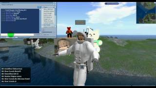 Friends Conference in Second Life