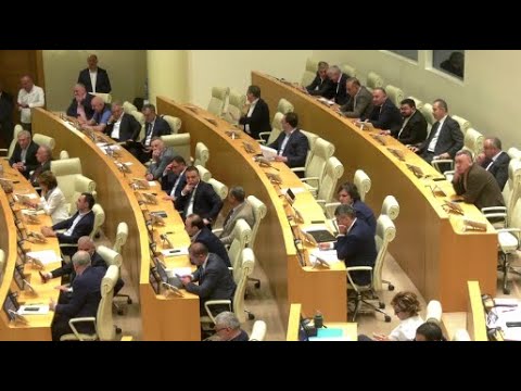 \"დებიძინიზაცია\" და \"დეივანიშვილიზაცია\"- \"ოცნება\" ევროპარლამენტარებს ევროპულ სტანდარტებს უწუნებს